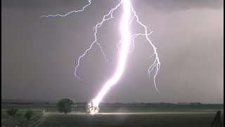 Lightning Striking Tree in 4K  Tree Catches on Fire [upl. by Atinniuq]