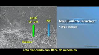 ¿Qué es Biodentine [upl. by Wojak]