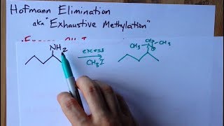 Hofmann Elimination Amine to Alkene aka Exhaustive Methylation [upl. by Chap]