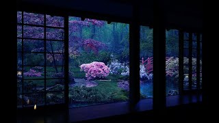 Rain On Japanese Zen Garden At Night 10 HrsㅣFor Sleep Study Relaxation  Calmbience Rain Sounds [upl. by Enois]