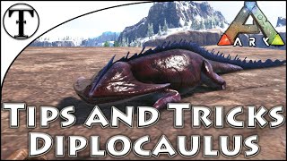 Fast Diplocaulus Taming Guide  Ark  Survival Evolved [upl. by Ahsenyt]