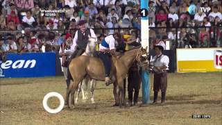 Jineteada en la octava noche del Festival de Jesús María 2016 Tanda 2 [upl. by Arrio]