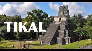 Tikal  Ancient Mayan City of Guatemala  4K  DEVINSUPERTRAMP [upl. by Asyle]