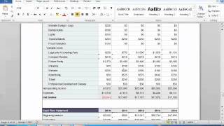 Business Plan Financials Tutorial [upl. by Aloek]