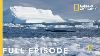 Storming Antarctica Full Episode  Continent 7 Antarctica [upl. by Acirne622]