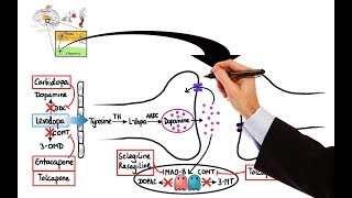 Pharmacology  DRUGS FOR PARKINSONS DISEASE MADE EASY [upl. by Weixel998]