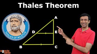 Triangles Class 10 Important Theorems [upl. by Olbap]