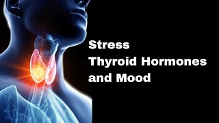 Understanding thryroid hormone production [upl. by Adev964]