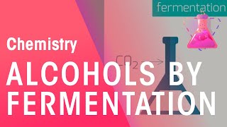 Making Alcohols By Fermentation amp From Ethane  Organic Chemistry  Chemistry  FuseSchool [upl. by Orvan]