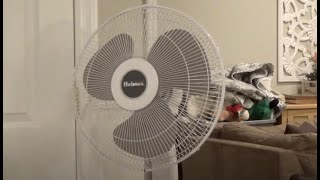 Holmes HSF1610A 16quot Oscillating Stand Fan [upl. by Atinuj]