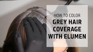 How to Color Cover Grey Hair with Elumen  Lets Play Elumen Series  Goldwell Education Plus [upl. by Novled858]