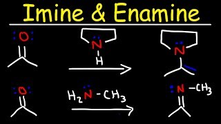 Imine and Enamine Formation Reactions With Reductive Amination [upl. by Clementine]