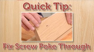 Quick Tip Fix a Protruding Screw [upl. by Ahsemik]