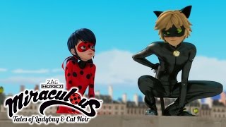 Miraculous Ladybug  ANIMAN  Ladybug and Cat Noir [upl. by Ttennaej273]