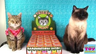 Tricky Cats Full Case Unboxing Kidrobot Toy Review  PSToyReviews [upl. by Lledniuq]