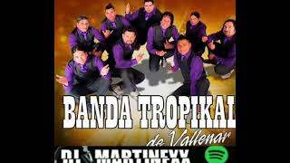 MIX BANDA TROPIKAL 2020 🔥DJ MARTINEXX🔥 [upl. by Pardew]