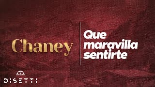 Que Maravilla Sentirte  Conjunto Chaney amp Eddie Santiago  Salsa Romántica [upl. by Yalcrab]