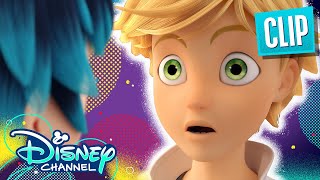 Migration  Miraculous Ladybug  disneychannel x Miraculous [upl. by Candace]