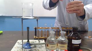 Demonstration of Tollens Reagent [upl. by Acinelav]