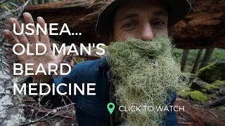 USNEA Old Mans Beard Medicine  w Yarrow Willard  Harmonic Arts [upl. by Amisoc]