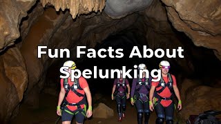 Fun Facts About Spelunking [upl. by Cirad]