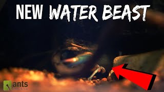 Ants vs New Water Beast quotKrakenquot [upl. by Mcnamee]