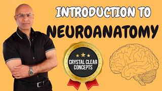 Intro to Neuroanatomy  Neurophysiology  Neuroscience  Central Nervous System [upl. by Eserrehs]