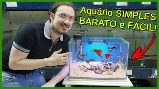 Montando um Aquário SIMPLES e BARATO para INICIANTES [upl. by Storz]