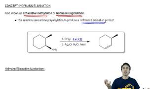 Hofmann Elimination General Reaction [upl. by Philipa]