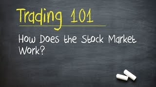 Trading 101 How Does the Stock Market Work [upl. by Lyrpa]