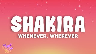 Shakira  Whenever Wherever [upl. by Chassin]