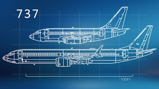 The Evolution of the Boeing 737 [upl. by Studnia61]