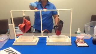 Simulated Smokers Lungs Demonstration [upl. by Nesila]