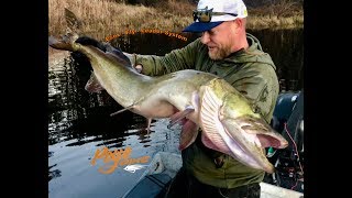 LEADER  Musky  Pike Step by Step Fly Fishing Leader [upl. by Airamasor]