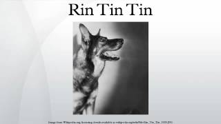 Rin Tin Tin [upl. by Latsirk301]