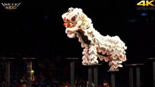 Kwong Ngai Lion Dance 光藝醒獅體育會 2015 Full HD [upl. by Berlin]