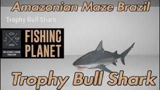 Trophy Bull Shark  Amazonian Maze Brazil  Fishing Planet Guide [upl. by Adniram]