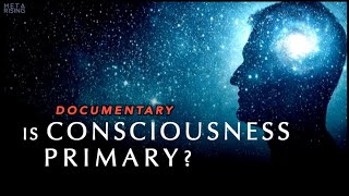 Is Consciousness Primary to Reality Documentary [upl. by Gayle91]