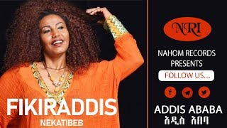 Fikiraddis Nekatibeb  ፍቅርአዲስ ነቃጥበብ  አዲስ አበባ  Ethiopian Music [upl. by Jeannine]