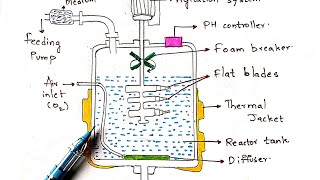 Submerged fermentation process  Fed batch and continuous fermentation  Bio science [upl. by Neil]