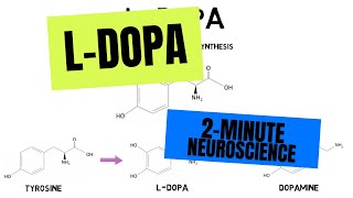 2Minute Neuroscience LDOPA [upl. by Micro]