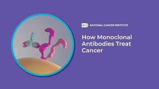 How Monoclonal Antibodies Treat Cancer [upl. by Aihseuqram]