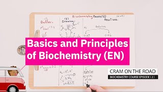 Biochemistry Basics and Principles [upl. by Taft]