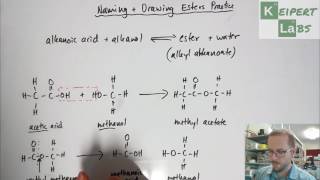 Esters  Drawing Structural Formulae and Naming Practice [upl. by Tollmann]