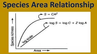 Species Area Relationship [upl. by Shanta]