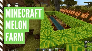 How To Grow MELONS In Minecraft Minecraft Melon Farm [upl. by Ahsiri]