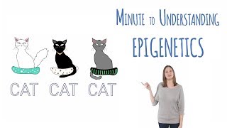 What is epigenetics [upl. by Latouche]