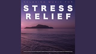 Music for Stress Relief [upl. by Clementina952]