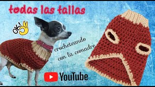 Como hacer Sueter o Jersey para mascotas a Crochet [upl. by Main770]