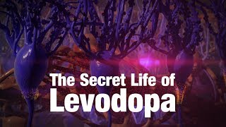 The Secret Life of Levodopa [upl. by Ashman946]